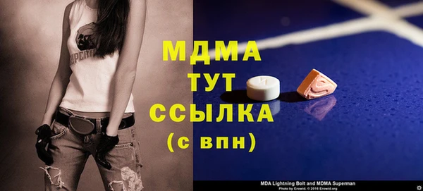 прущие грибы Няндома