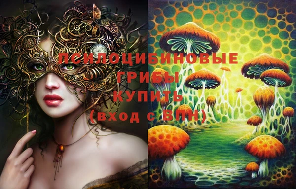 винт Баксан